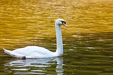 《英雄不再3》背景释疑 特拉维斯开局为何一脸落魄